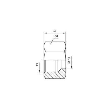 MUTTERI 12L - Hydrauliikkaletkut ja -liittimet - PFZNL12 - 2