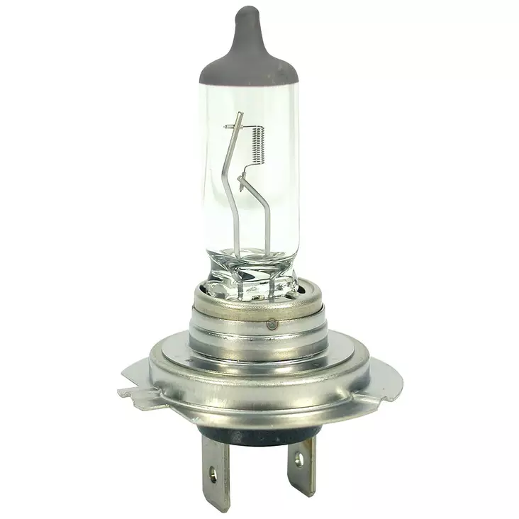 POLTTIMO H7 STD 55W - Polttimot - PB12012 - 1